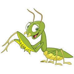cute mantis