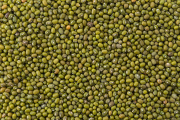 green beans on white background