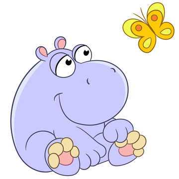 hippopotamus and butterfly