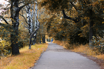 Park walkway