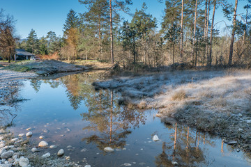 Wetlands in frost