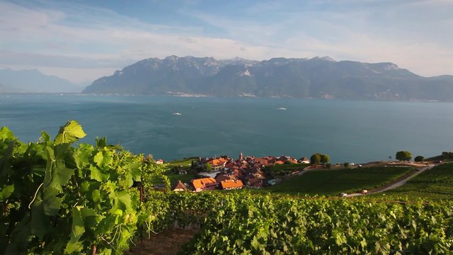 Vineyards of the Lavaux region over lake Leman (lake of Geneva),Switzerland