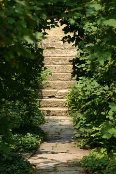 Steps leading up from paved path in garden