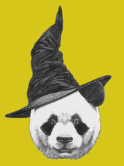 Portrait of Panda with witch hat. Halloween illustration