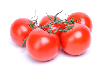 branch of tomatoes