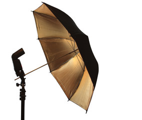 Light stand with flash and umbrella