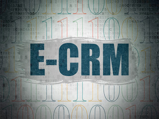 Business concept: E-CRM on Digital Paper background