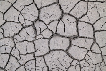 Cracked ground