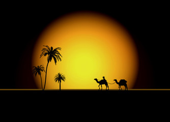 Sol, desierto, camellos, luz, fondo
