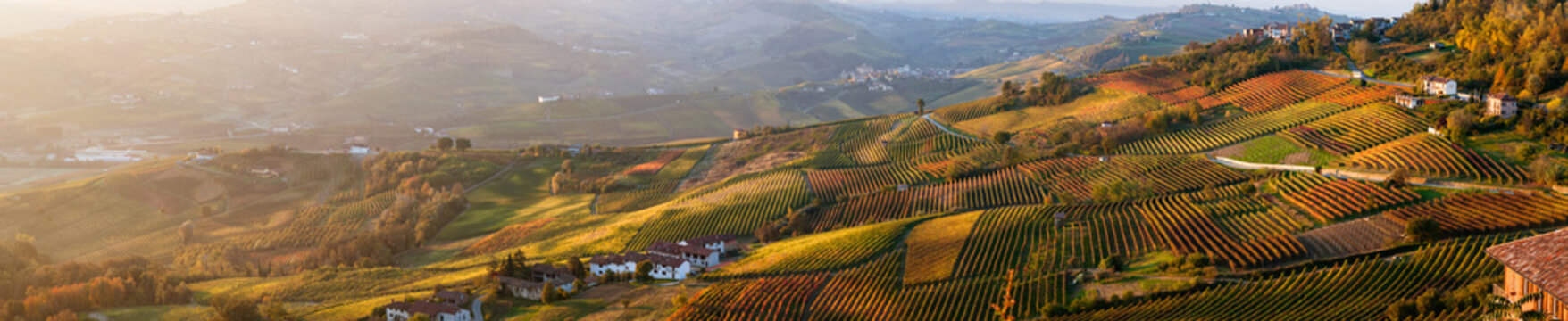 Panoramic view of vineyards of Piedmont in autumn