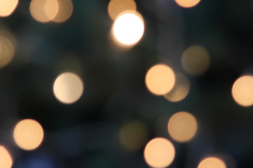 bockeh