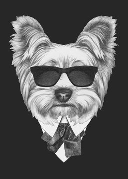 Portrait of Yorkshire Terrier dog in suit. Hand drawn illustration.