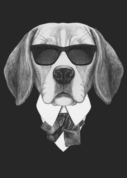 Portrait of Beagle dog in suit. Hand drawn illustration.
