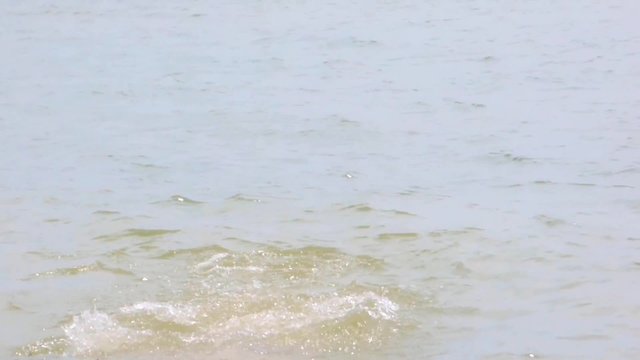 Woman dives into the sea