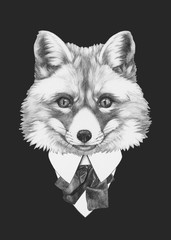 Fototapeta premium Portrait of Fox in suit. Hand drawn illustration.