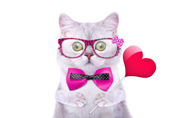 Smart handsome cat with icon heart. Funny animals. Trendy cat dressed in beautiful clothes