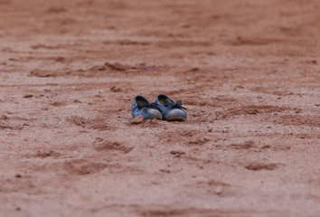 Manoletinas de torero