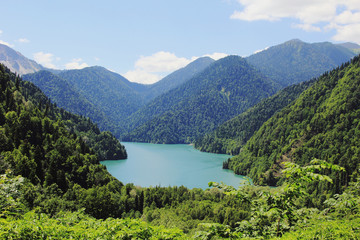 Fototapeta na wymiar Caucasus. Abkhazia. Riza lake with clear blue water, surrounded by lush green forest against the blue sky with clouds, a sunny summer day