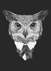 Portrait of Owl in suit. Hand drawn illustration.