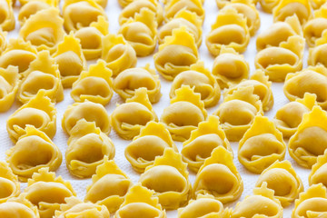 Tortellini in Bologna Italy