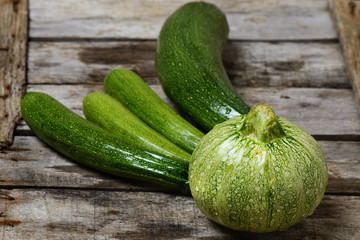 zucchine biologiche