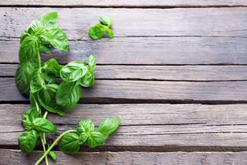 Green fresh basil on wooden background