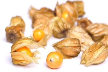 physalis