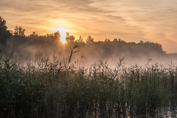 Morning fog
