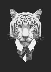 Portrait of Tiger in suit. Hand drawn illustration.
