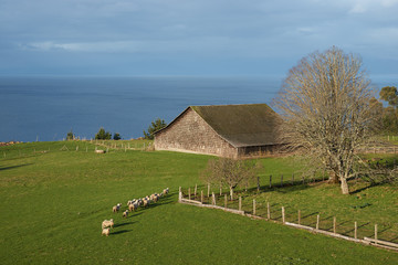 Obraz premium Traditional wooden tiled barn set in green pasture on the edge of Lake Llanquihue in southern Chile.