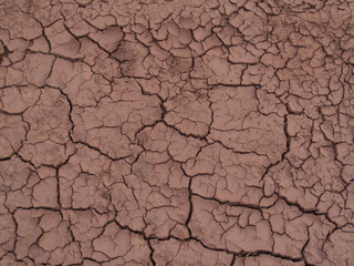Dry Bottom