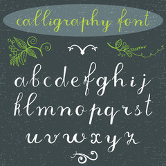Fototapeta na wymiar Alphabet letters lowercase, hand drawn calligraphy font. Vector alphabet. Hand written letters of the alphabet and decoration elements on grungy background