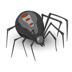 Halloween spider hand-drawn illustration