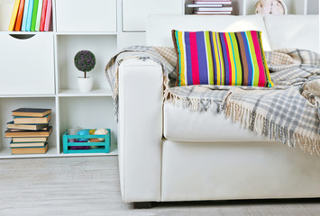 White living room with sofa and bookcase