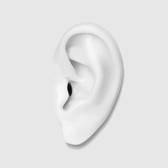 Human ear - 91592471