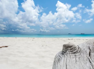 Fototapeten Sommer wood in sand with sea and aky  © topntp