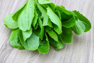Romano salad leaves