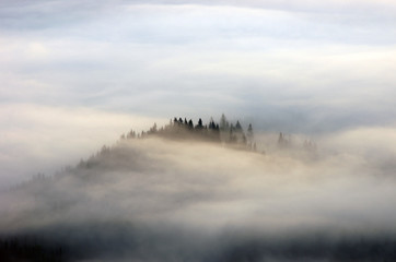 Obraz premium Amazing mountain landscape with dense fog. Carpathian Mountains