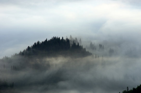 Fototapeta Amazing mountain landscape with dense fog. Carpathian Mountains