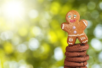 Christmas Cookie.
