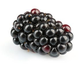 Sweet blackberry isolated on white