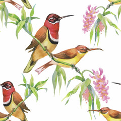 Watercolor Wild exotic birds on flowers seamless pattern on
