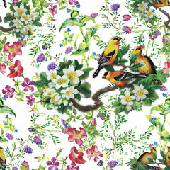 Watercolor Wild exotic birds on flowers seamless pattern on