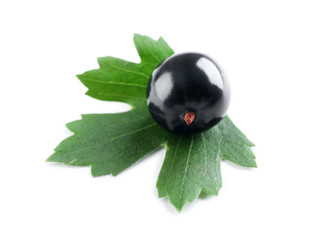 Heap of wild black currant with green leaf isolated on white