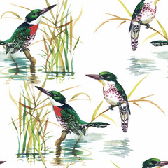 Watercolor Wild exotic birds on flowers seamless pattern on