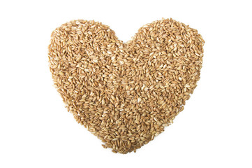 Spoon of Raw Organic Spelt Grain close up on white