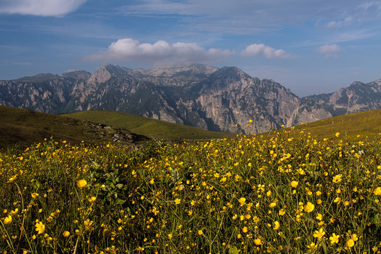 Montagna