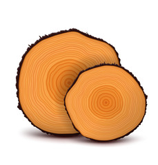 The cut tree on a white background.