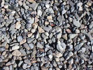 Background of gray stones and shells on the shores