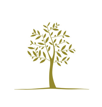 Olive tree icon on white background. Vector element